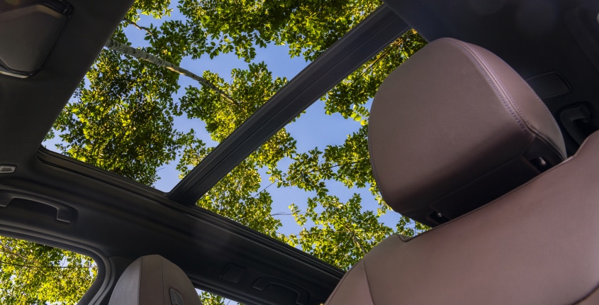 Open sunroof with blue sky and trees